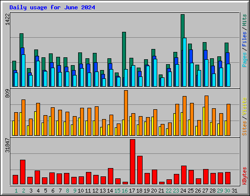Daily usage for June 2024