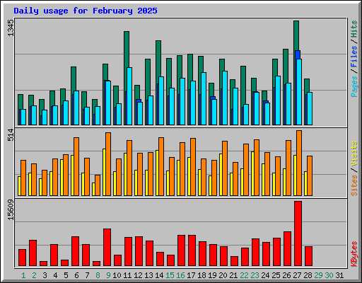 Daily usage for February 2025