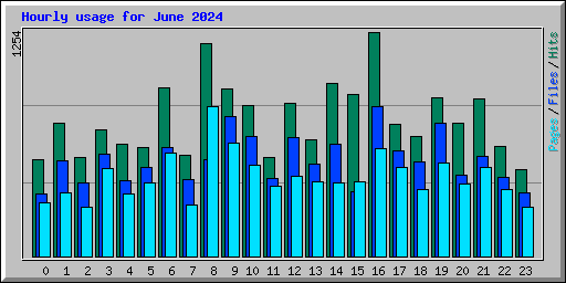 Hourly usage for June 2024