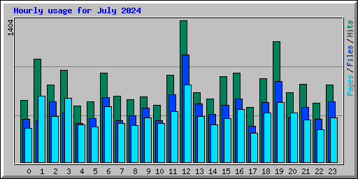 Hourly usage for July 2024