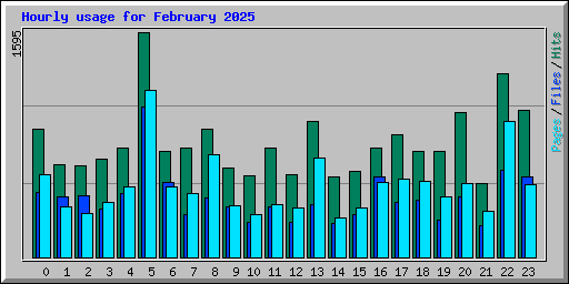 Hourly usage for February 2025