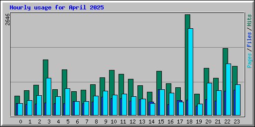 Hourly usage for April 2025