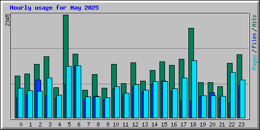 Hourly usage for May 2025