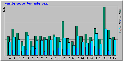 Hourly usage for July 2025
