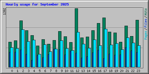 Hourly usage for September 2025