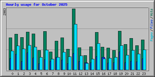 Hourly usage for October 2025