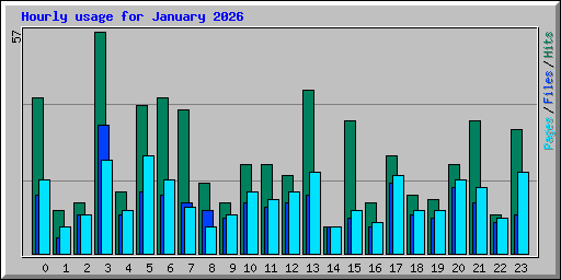 Hourly usage for January 2026