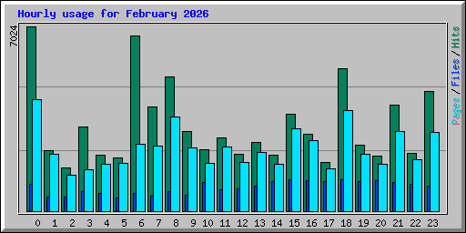Hourly usage for February 2026