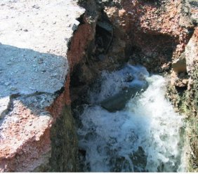 ?????????????? ?????????