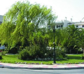 ????????  &  ????????? ??? ???????? ???? ????